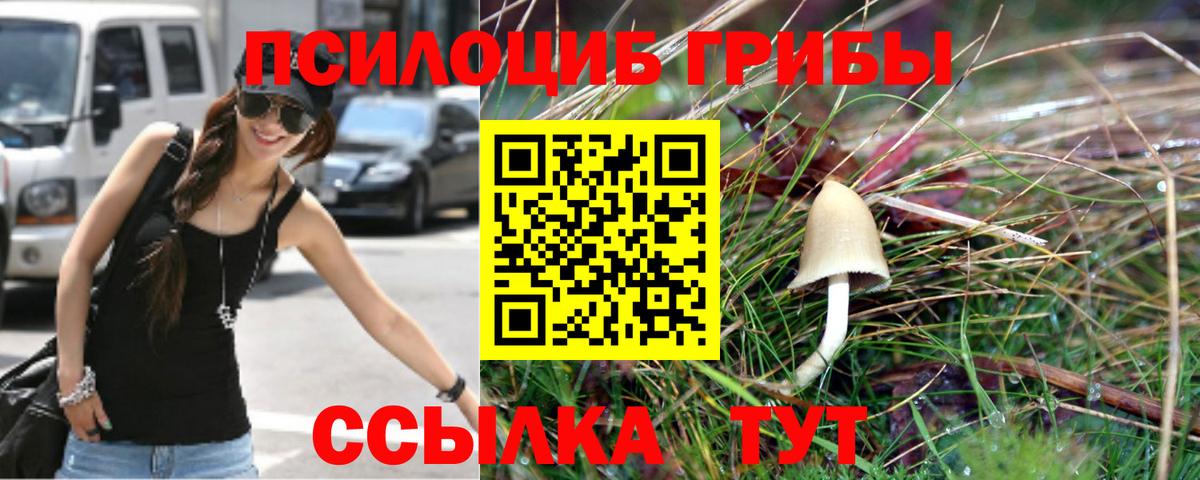 Псилоцибиновые грибы прущие грибы Глазов
